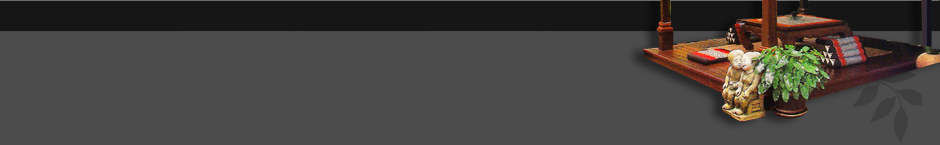 Bottom of Header