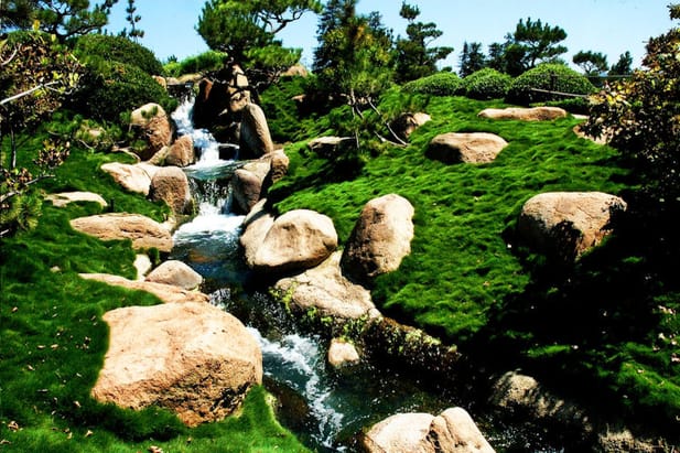 Korean Grass Waterfall