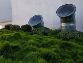 Rooftop Garden Featuring Zoysia